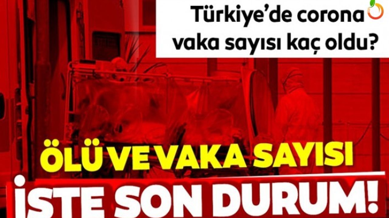 Bakan Koca Yeni Vaka Sayısını Açıkladı! 22 Mayıs