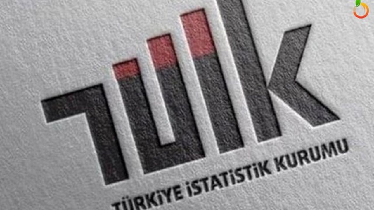 Malatya’da 65 Yaş Üstü Sayısı Kaç