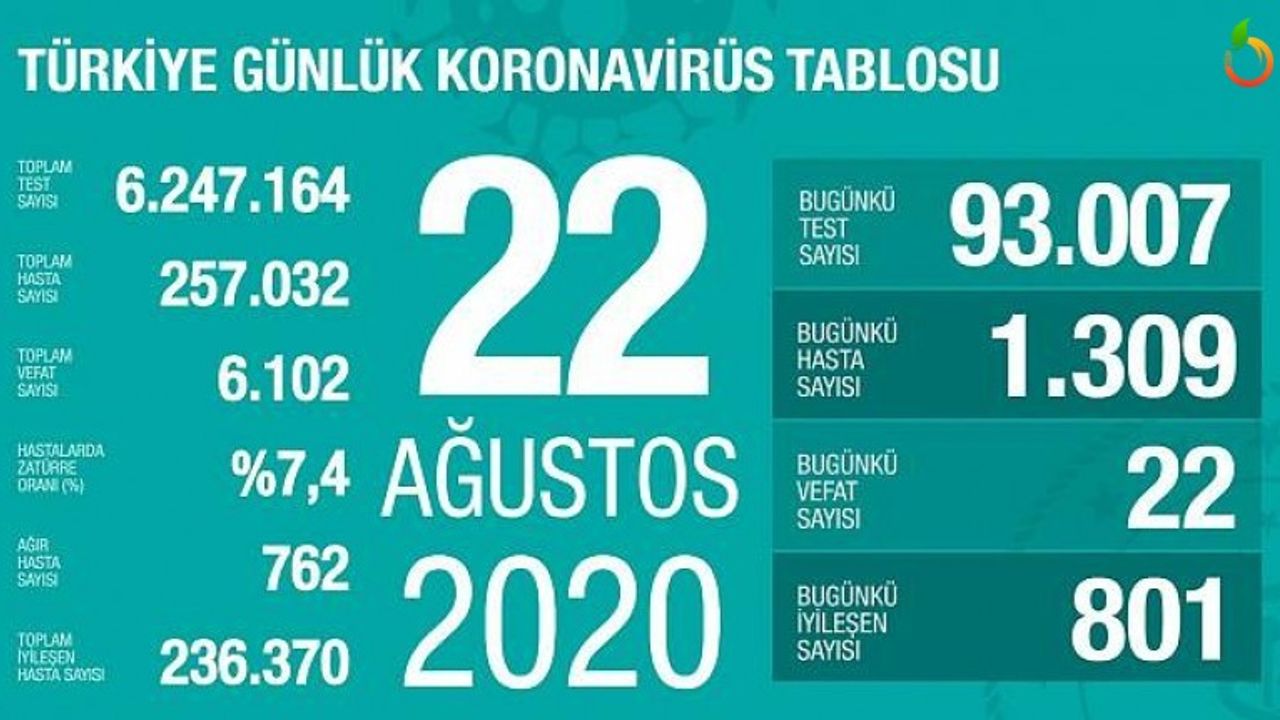 22 Ağustos Corona Tablosu