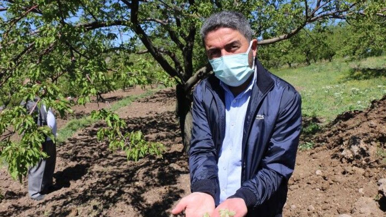 Başkan Kiraz, 'Çok vahim bir tablo var'