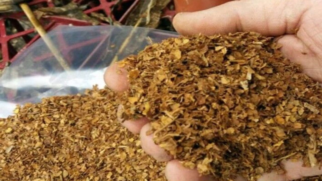 Yasa dışı tütün ticareti 10 Milyar TL’den fazla vergi kaybına yol açıyor