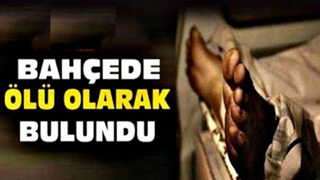 Dere yatağında ölü bulundu