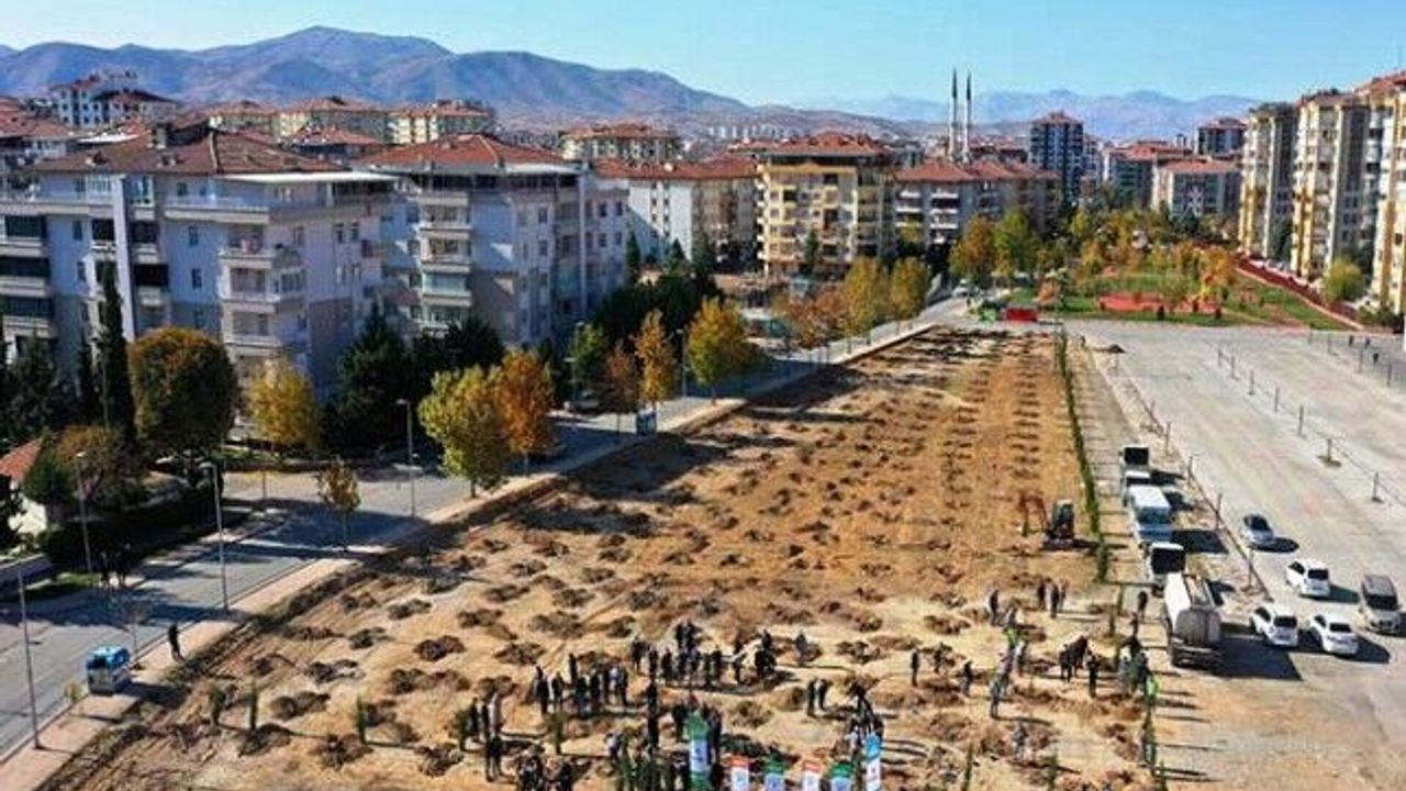 2,5 Yılda 10 Bin 600 Adet Fidanı Toprakla Buluşturduk