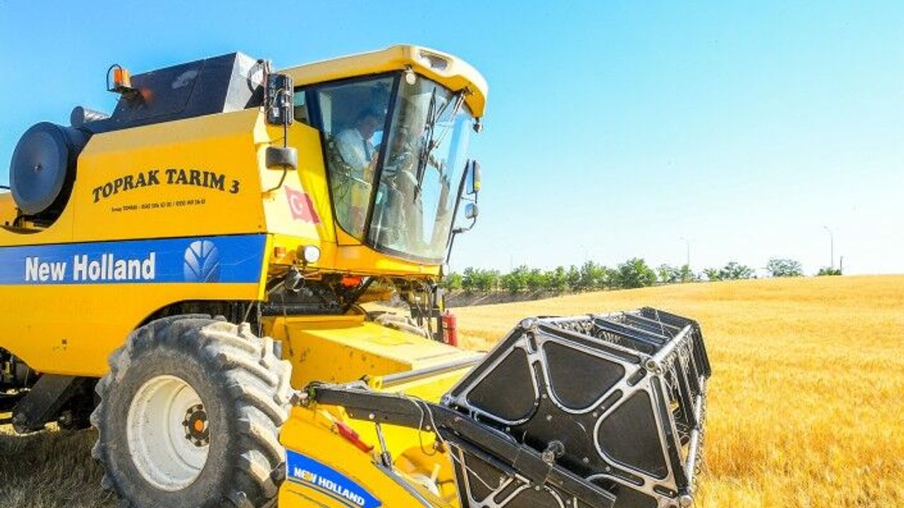 Çiftçilere Dağıtılan Tohumlar Hasat Ediliyor