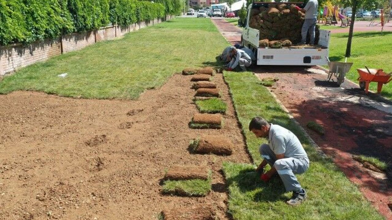 Üç Yılda 80 Bin Metrekare Rulo Çim Ürettik