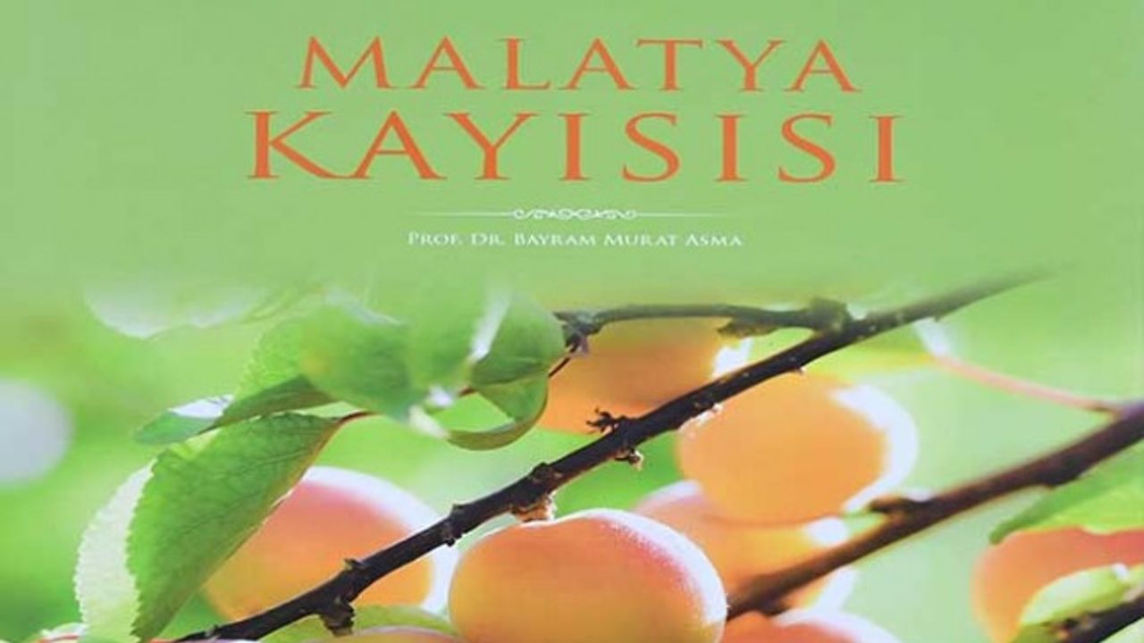 Malatya Kayısısı Kitabı 'Gourmand World Cookbook Awards 2023'De Finalde Yarışacak