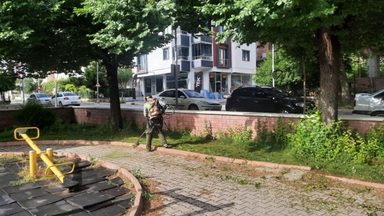 Büyükşehir Belediyesi Parkları Ve Refüjleri Yeniliyor 