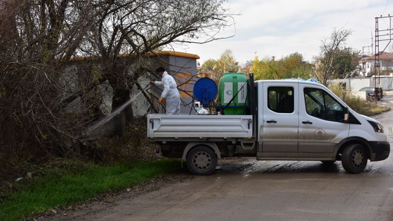 Haşere Üreme Alanlarında Ve Konteyner Kentlerde İlaçlama Yapılıyor