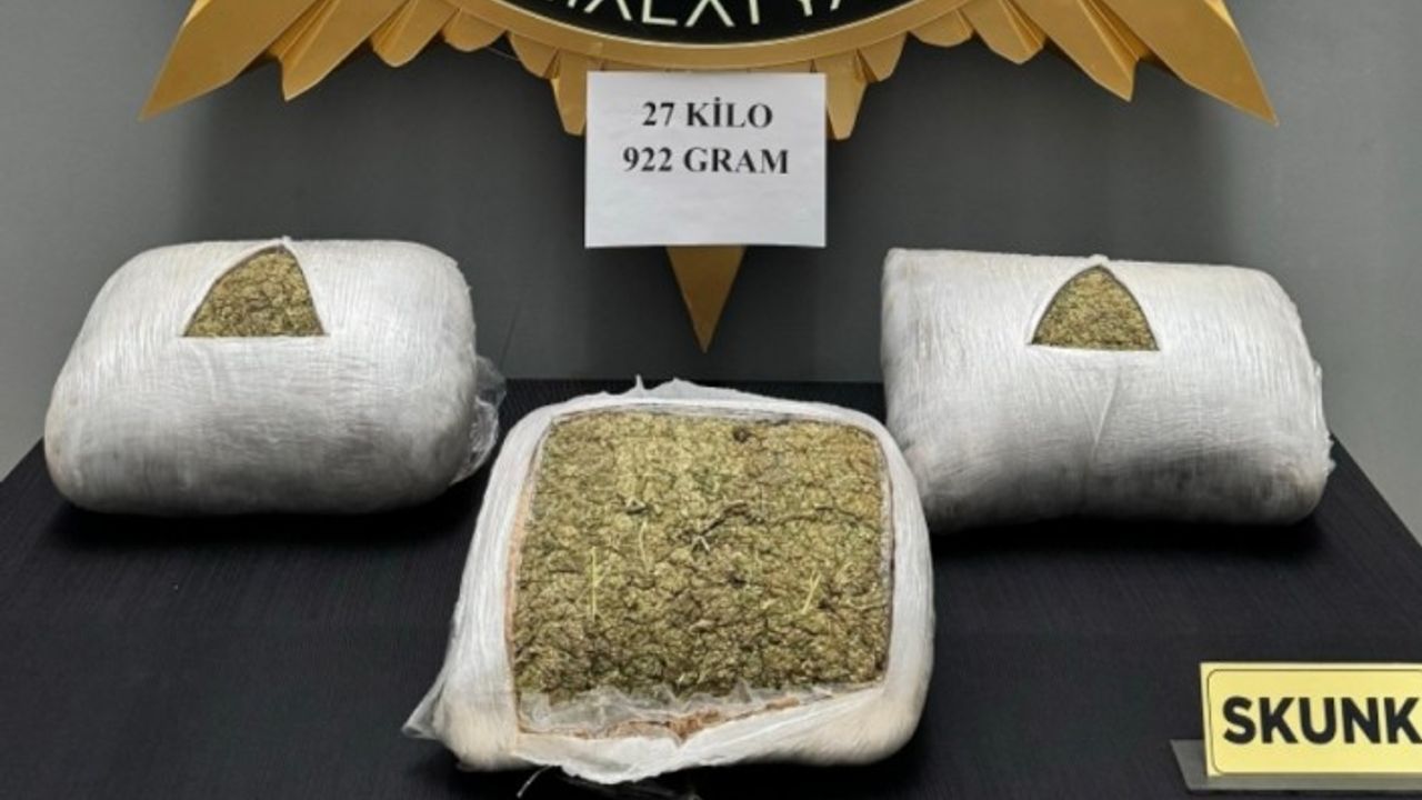 Malatya'da 27 kg Skunk ele geçirildi