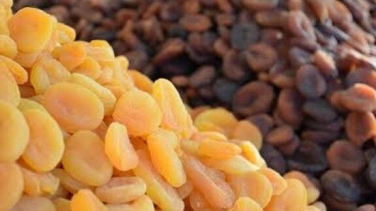 TMO Kayısı Alımı Yapmaya Başlıyor