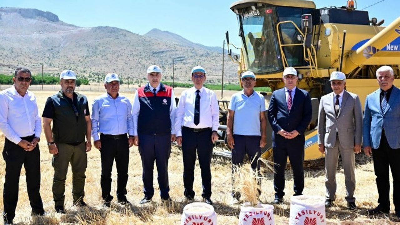 Hasadı Yapılan Arpalar, Çiftçilere Ücretsiz Dağıtılacak!