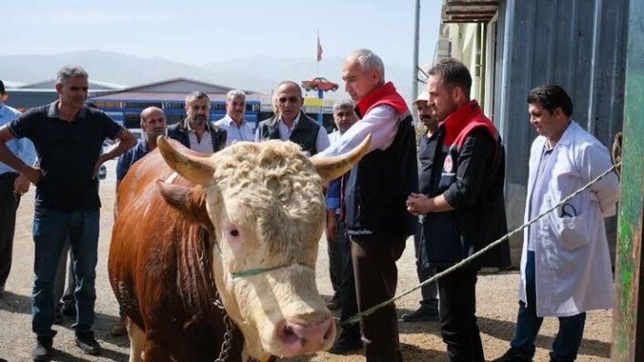 Hayvan pazarı ikinci bir emre kadar kapatıldı