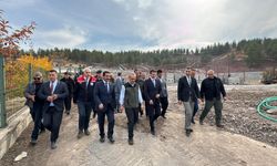Vali Yavuz, Hayvan Barınağı Projesi’nde İncelemelerde Bulundu