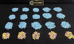 Malatya’da Sokak Satıcılarına Darbe: 4 Şüpheli Gözaltında