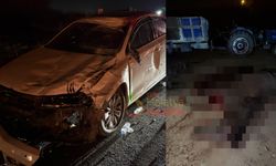 Çiftlikten Kaçarak Karayoluna Çıkan 8 At Telef Oldu