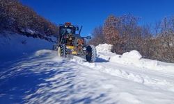 12 Ocak Pazartesi Malatya'da Okullar Tatil mi ?