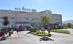 Karşıya Geçmek İsterken Hayatını Kaybetti