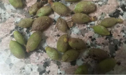 Vali Yavuz: 'Hasar Tespit Çalışmaları Başlayacak'