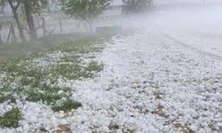 Hasar Tespit Çalışmaları Tamamlandı