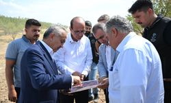 Yaka Mahallesindeki 7 Kilometrelik Yeni Yol Ağı Bölgeye Değer Katacak