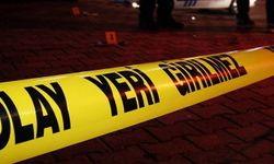 Akçadağ'da Eşini Vuran Saldırgan Koca Tutuklandı