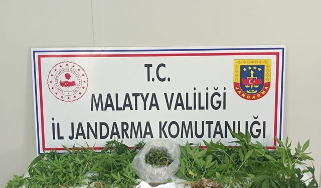 Malatya'da Narkotik Suçlarla Mücadele Kesintisiz Devam Ediyor: 3 Tutuklama