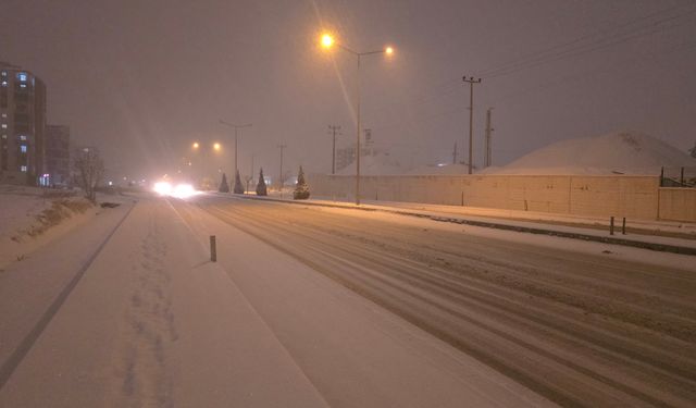 Malatya'da Kar Yağışı Etkili Oldu