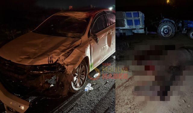 Çiftlikten Kaçarak Karayoluna Çıkan 8 At Telef Oldu