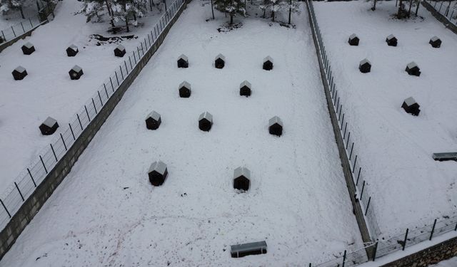 Battalgazi’de Malatya’nın İkinci Hayvan Barınağı Faaliyete Geçti