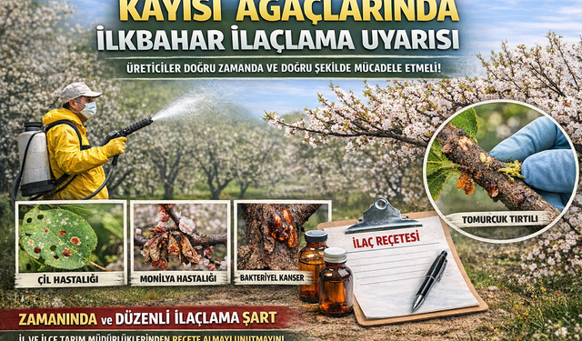 Kayısı Üreticilerine İlkbahar İlaçlama Uyarısı