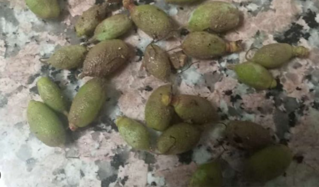 Vali Yavuz: 'Hasar Tespit Çalışmaları Başlayacak'