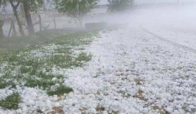 Hasar Tespit Çalışmaları Tamamlandı