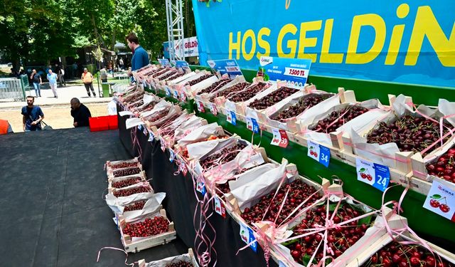 Malatya'da 28.Kiraz Festivali Gerçekleştirildi