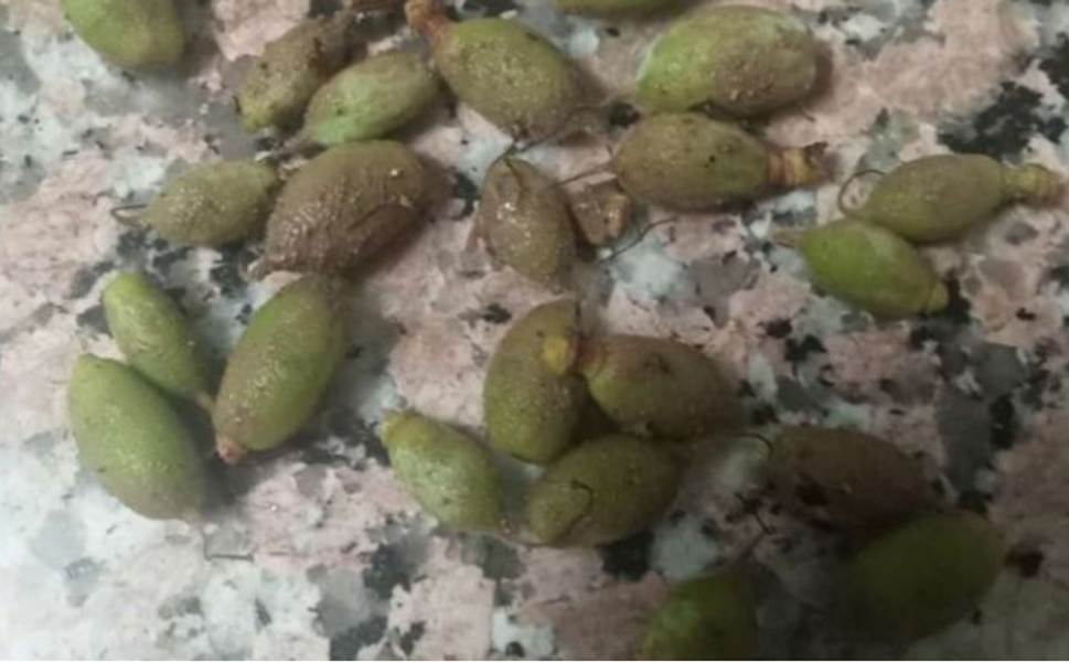 Vali Yavuz: 'Hasar Tespit Çalışmaları Başlayacak'