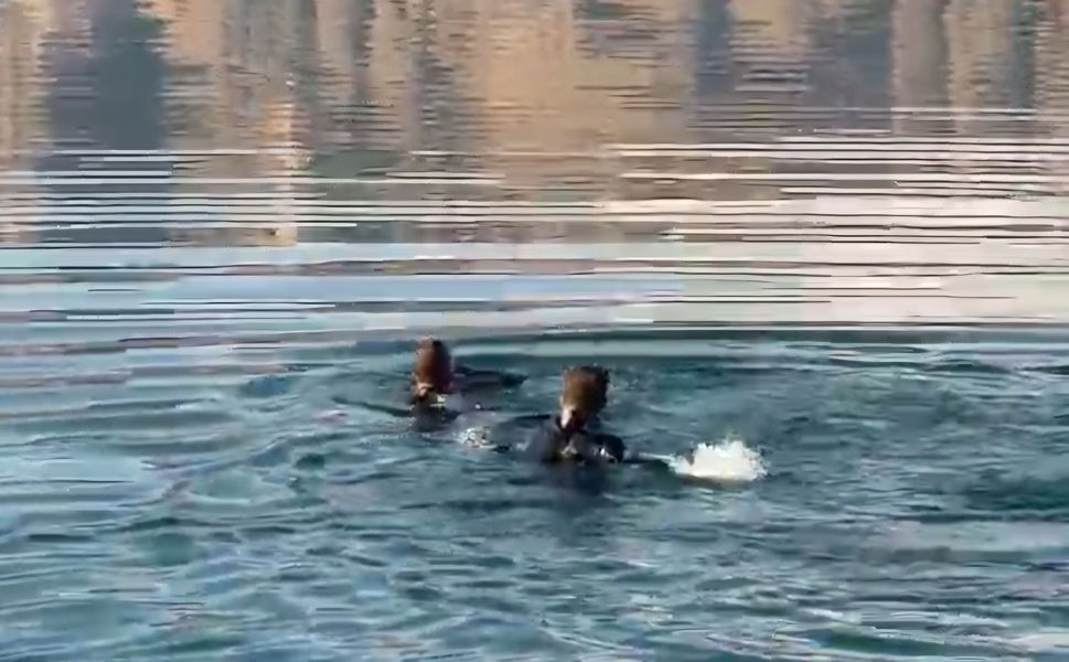 Kale’de Barajda Hareketsiz Bulunan Kişi Hayatını Kaybetti